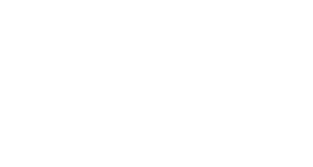TV Paint